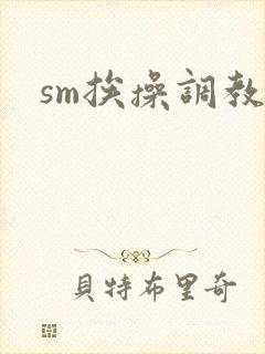 sm挨操调教文