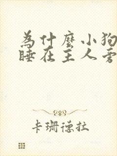 为什么小狗喜欢睡在主人旁边