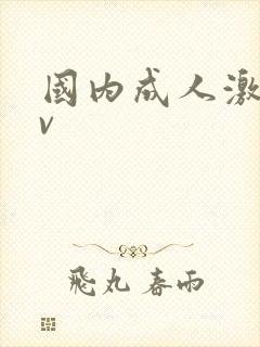 国内成人激情av