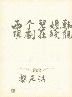 两个儿媳韩剧电视剧在线观看全集