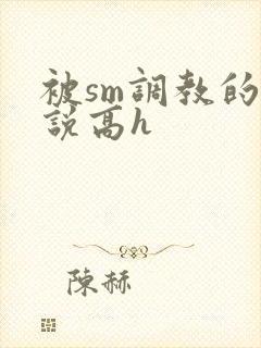 被sm调教的小说高h