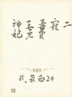 神王毒宠二嫁王妃免费