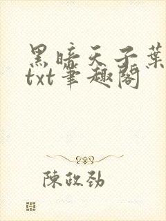 黑暗天子叶凌天txt笔趣阁