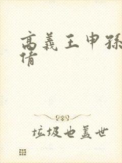 高义王申孙敏孙倩