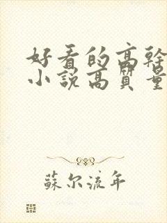 好看的高干言情小说高质量文笔好