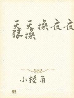 天天操夜夜爽狠狠操封面