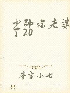 少帅你老婆又跑了20