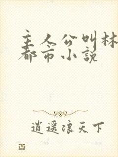 主人公叫林萧的都市小说