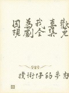 因为我喜欢你电视剧全集免费观看封面