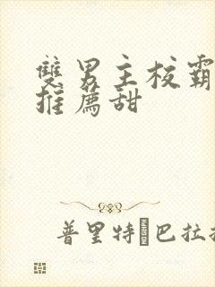 双男主校霸小说推荐甜封面