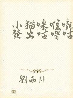 小猫咪喉咙一直发出咕噜咕噜的声音