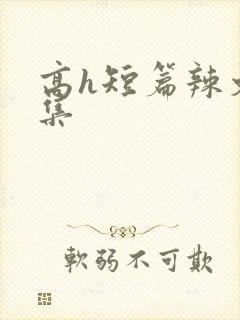 高h短篇辣文合集封面