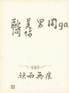 欧美男同gay网站