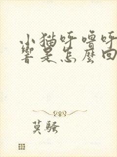 小猫呼噜呼噜声响是怎么回事