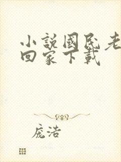 小说国民老公带回家下载封面