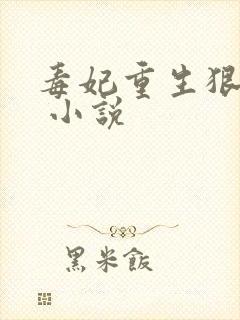 毒妃重生狠绝色 小说