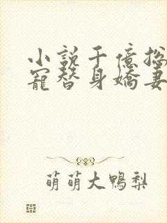 小说千亿总裁独宠替身娇妻小说