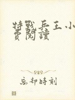 特战兵王小说免费阅读