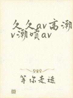 久久av高潮av潮喷av