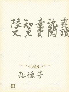 陆知意沈霁川全文免费阅读封面