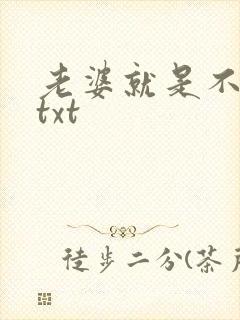 老婆就是不离婚txt