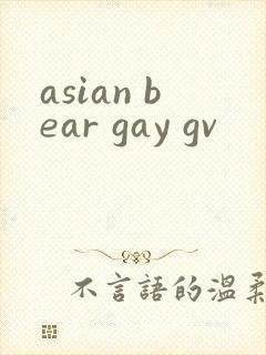 asian bear gay gv