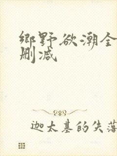 乡野欲潮全文无删减封面