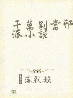 千万别当邪恶反派小说