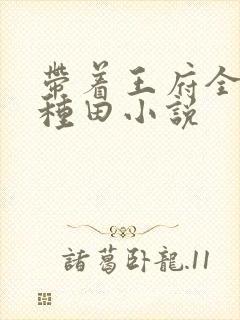 带着王府全家去种田小说封面