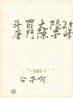 斗罗大陆2绝世唐门陈子峰封面