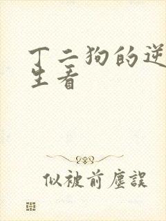 丁二狗的逆袭人生看