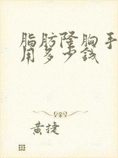 脂肪隆胸手术费用多少钱封面