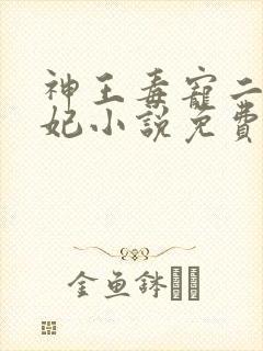 神王毒宠二嫁王妃小说免费阅读