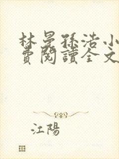 林曼孙浩小说免费阅读全文最新章节封面