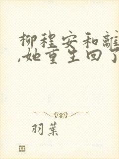 柳程安和离前夜,她重生回了出嫁前