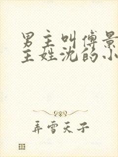 男主叫傅景琛女主姓沈的小说