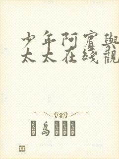 少年阿宾与房东太太在线观看