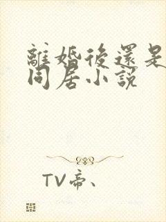 离婚后还是选择同居小说