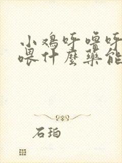 小鸡呼噜呼噜的喂什么药能好使封面