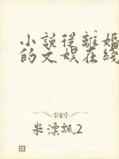 小说从离婚开始的文娱在线阅读