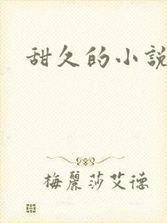甜久的小说
