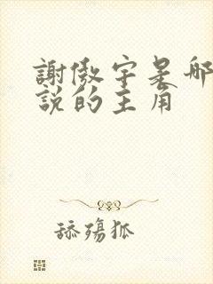 谢傲宇是哪部小说的主角封面