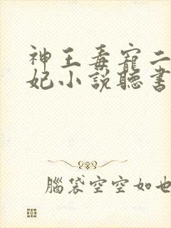 神王毒宠二嫁王妃小说听书