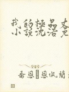 我的极品丈母娘小说沈浩免费阅读