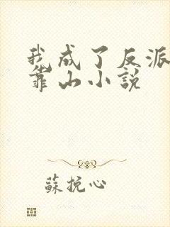 我成了反派们的靠山小说