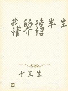 我的后半生 剧情介绍