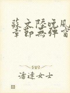 苏文陆晚风最新章节无弹窗笔趣阁封面