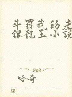 斗罗我的老婆是银龙王小说免费阅读