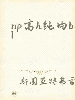 np高h纯肉bl