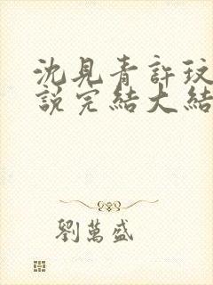 沈见青许玟玟小说完结大结局了吗